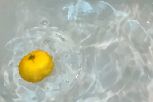 1個のゆずが湯船に浮いている画像