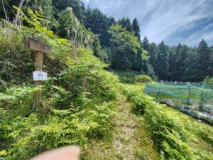 左側には「祠」と書かれた標識。右側には畑があり、真ん中に草で覆われた細い道が続いている