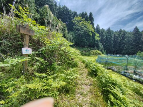 左側には「祠」と書かれた標識。右側には畑があり、真ん中に草で覆われた細い道が続いている