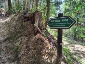 黒河道の山道。落ち葉に覆われた急斜面の手前。