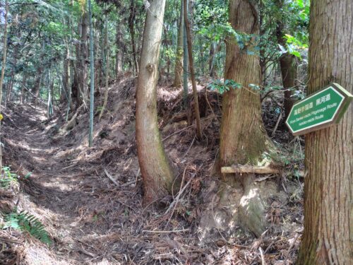 緑色の標識「高野参詣道　黒河道」の先に、枯葉に覆われた細い山道が続いている画像。