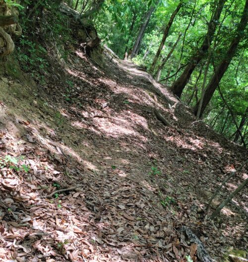 枯葉に覆われた黒河道の山道。滑落の危険を感じる急斜面の道。