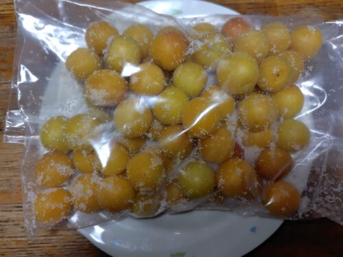 ジッパー付きビニール袋に七折小梅と塩を入れて漬け込んでいる画像。