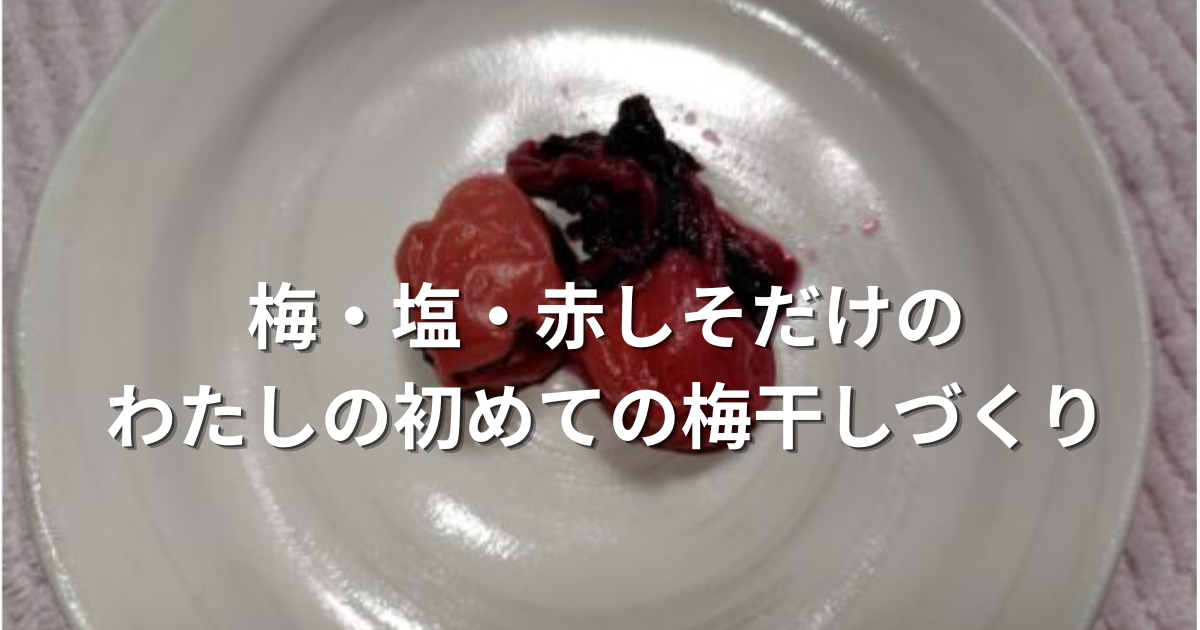 白い皿の中央に赤く染まった梅干しと赤しそが盛られている。『梅・塩・赤しそだけの わたしの初めての梅干しづくり』という文字が重ねられた画像。
