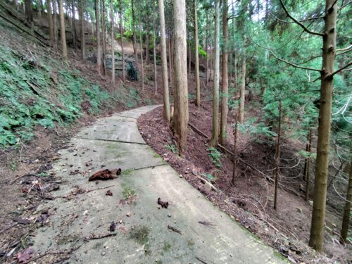 急斜面の画像